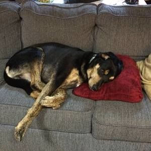 Meet your Posher, Paula